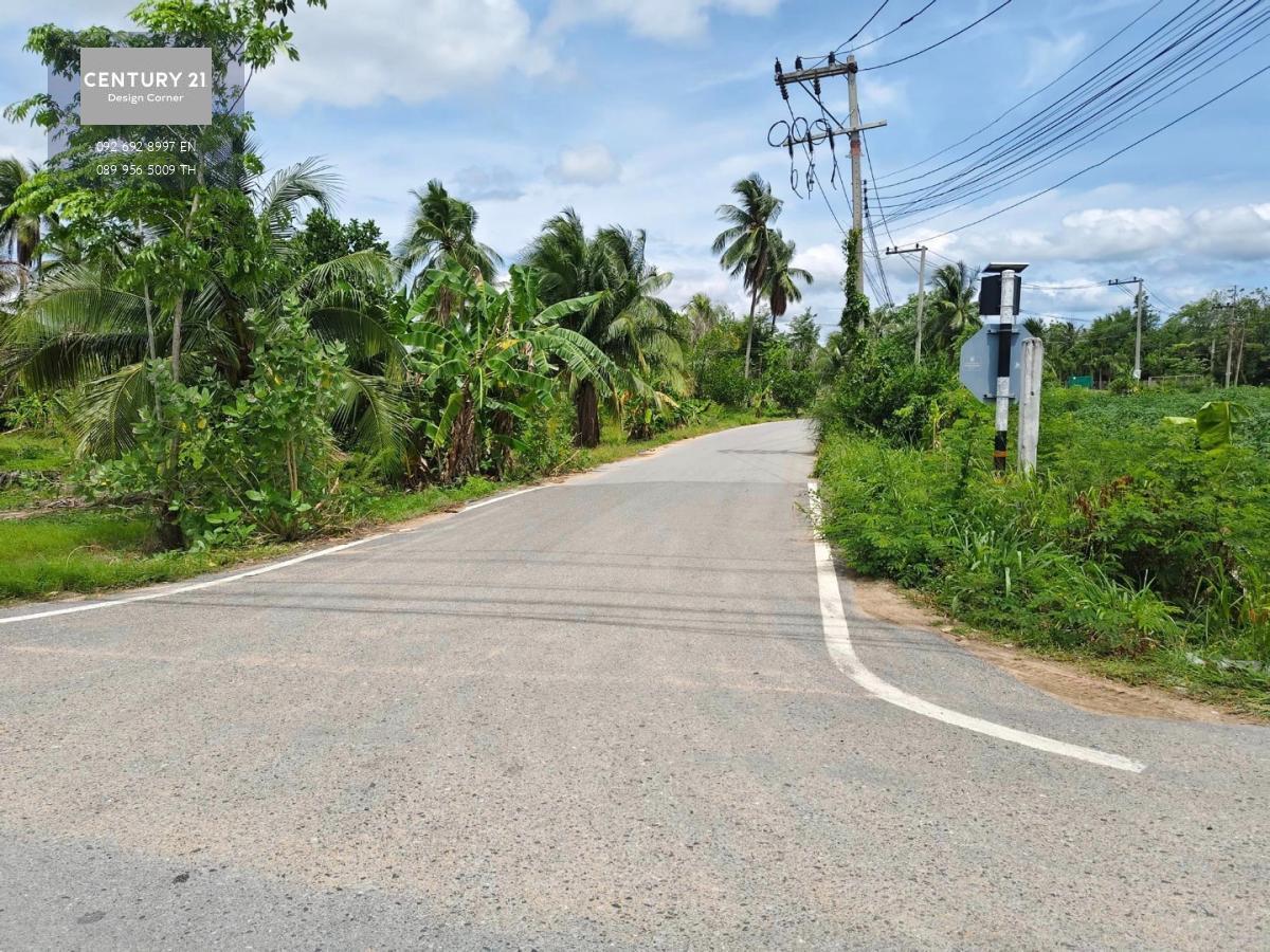 ขายที่ดินห้วยใหญ่ซอยดีเจริญรีสอร์ทติดถนนคอนกรีต 2 ด้าน ห้วยใหญ่ พัทยา