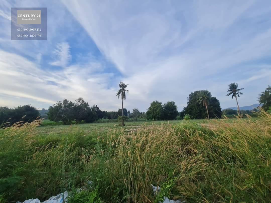 ขายที่ดินติดถนน บางเสร่ สัตหีบ  