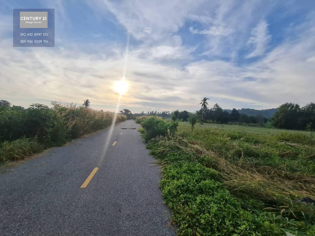 ขายที่ดินติดถนน บางเสร่ สัตหีบ  