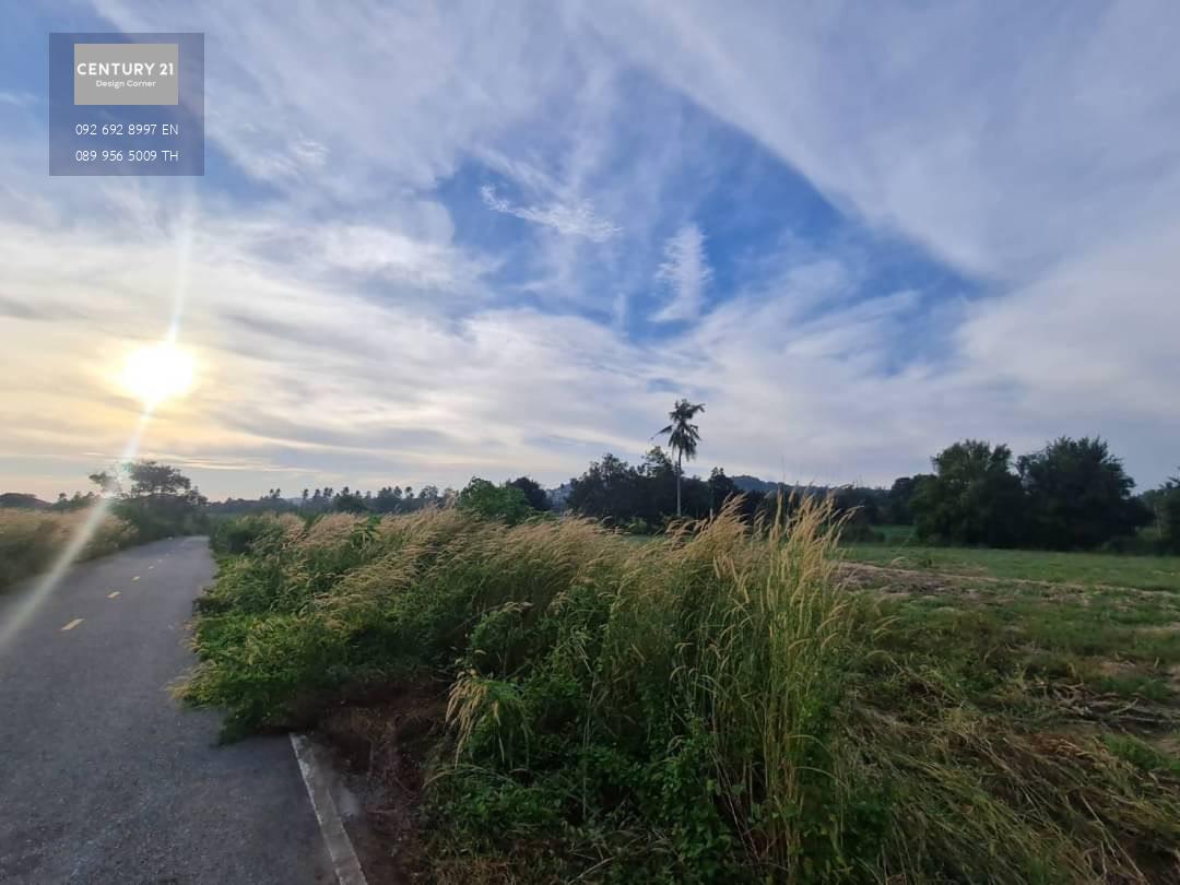 ขายที่ดินติดถนน บางเสร่ สัตหีบ  