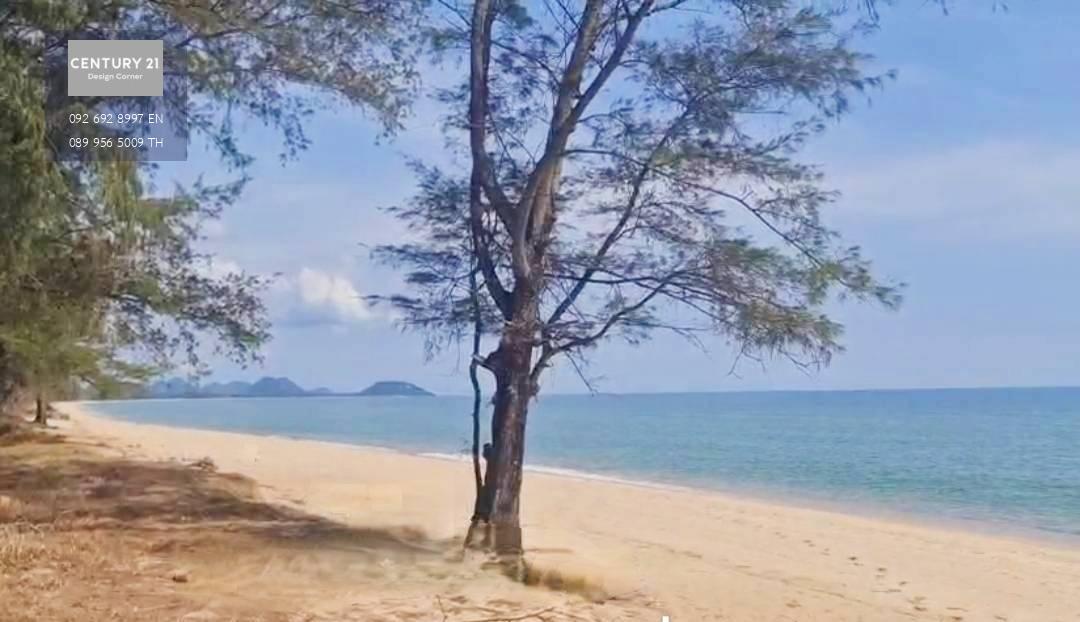 บ้านสร้างใหม่ พูลวิลล่าติดทะเล  หาดบ้านกรูด โฉนดครุฑแดง 5 ห้องนอน 6 ห้องน้ำ บ้านติดชายหาดเดินลงทะเลได้เลย