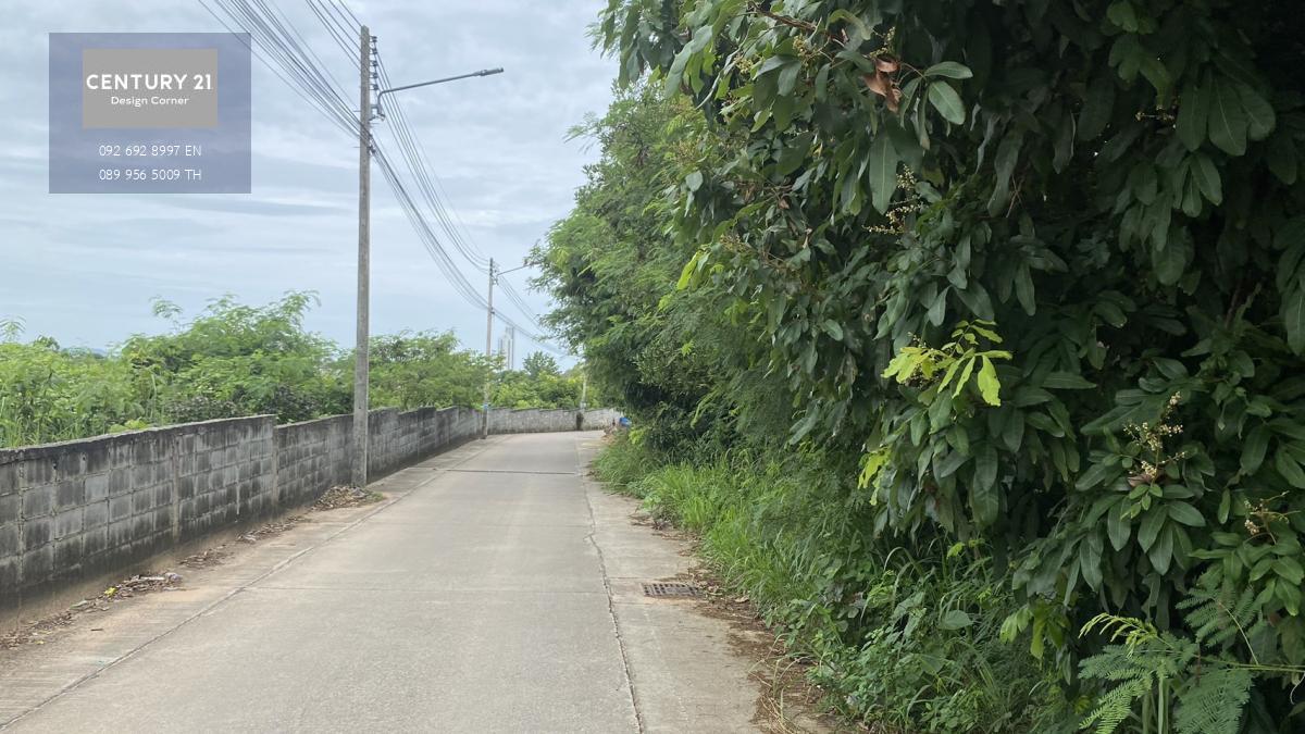 ขายที่ดินซอยหนองหิน ถนนชัยพฤกษ์ 2 เมืองพัทยา