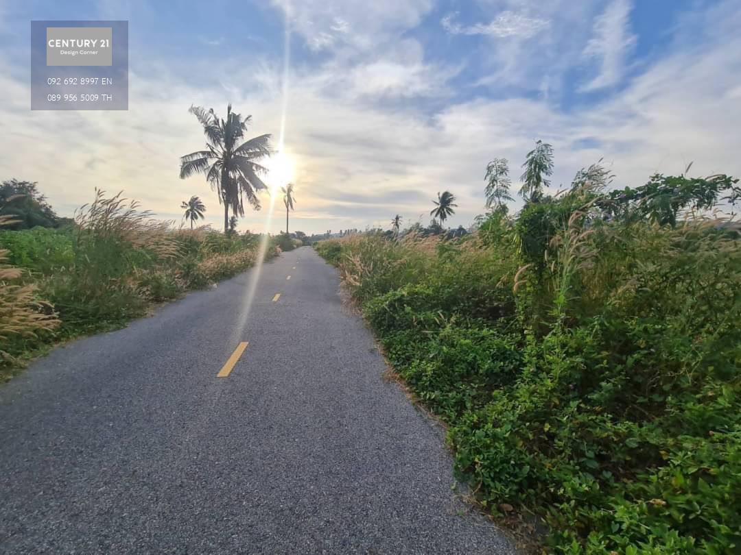 ขายที่ดินติดถนน บางเสร่ สัตหีบ  