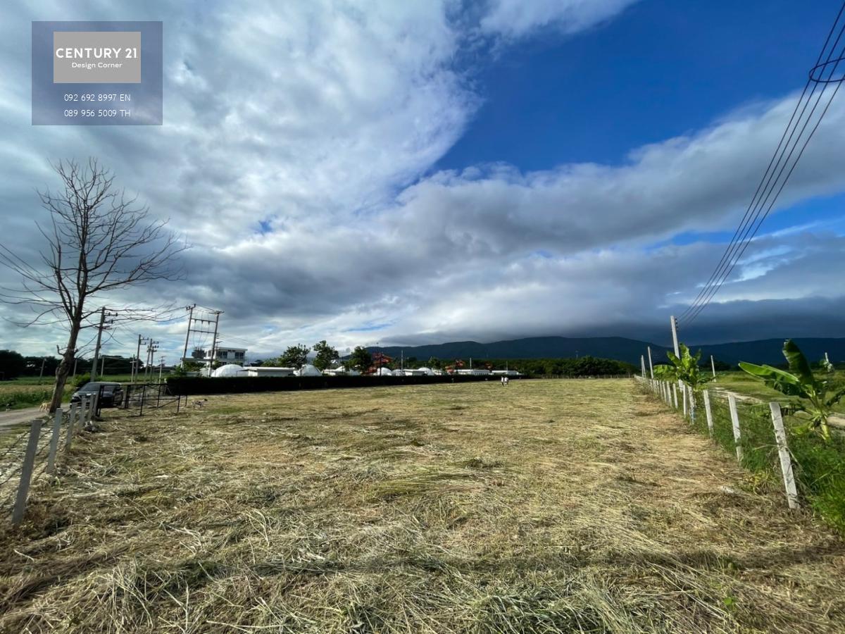 ขายที่ดินถมเเล้ว ล้อมรั้ว ลวดหนาม วิวภูเขา ติดถนน เขาใหญ่ ปากช่อง นครราชสีมา