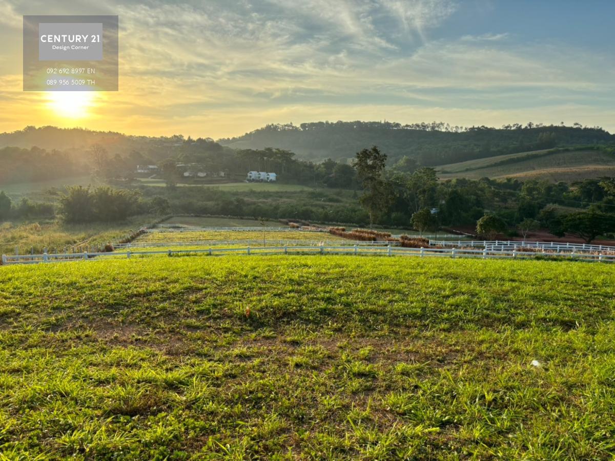 ขายที่ดินวิวภูเขา บรรยากาศดี GRAND Hill เขาใหญ่ วังกะทะ ปากช่อง นครราชสีมา ราคาพิเศษ