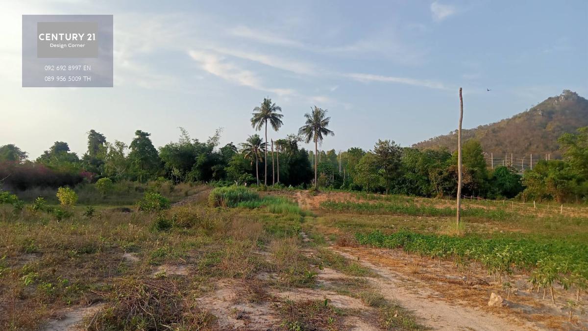 ขายที่ดิน โป่ง บางละมุง พัทยา