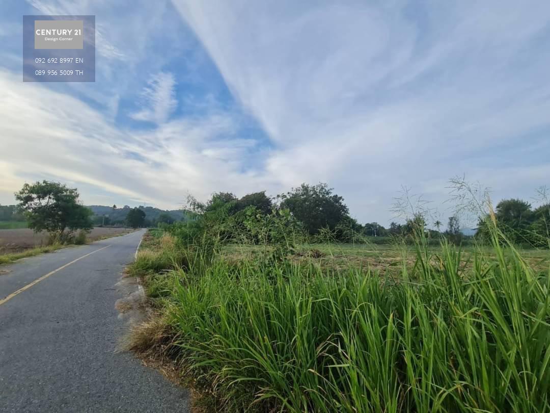 ขายที่ดินติดถนน บางเสร่ สัตหีบ  