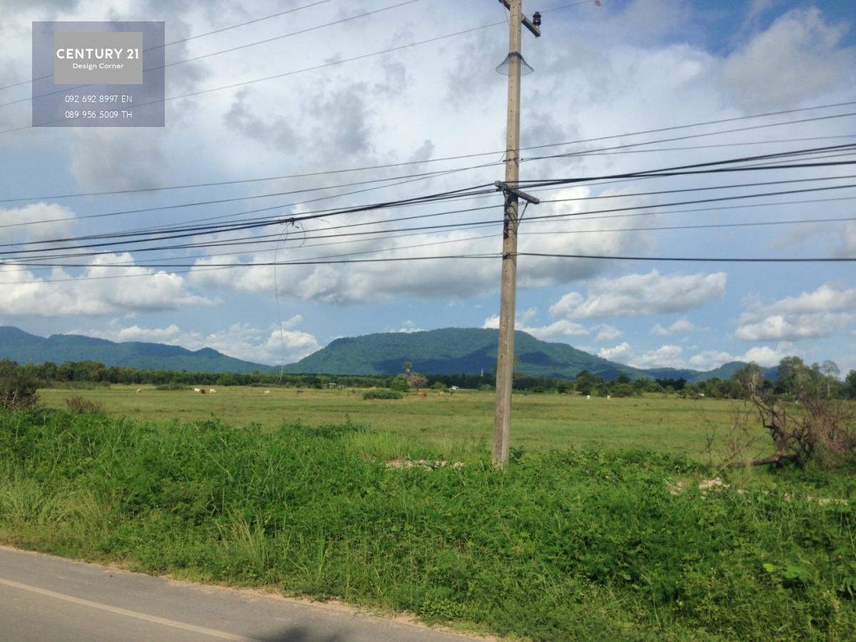 ขายที่ดิน อำเภอเมืองระยอง ตำบลตะพง ติดถนน 3142 จากถนนสุขุมวิท 1.3 กิโลเมตร