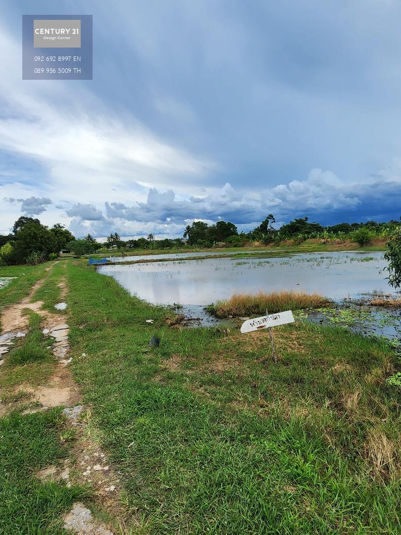 * ขายที่ดินซอยชากนอก ห้วยใหญ่ บางละมุง เมืองพัทยา