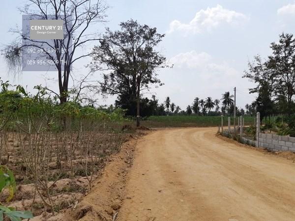 ขายที่ดินห้วยใหญ่ บางละมุง พัทยา