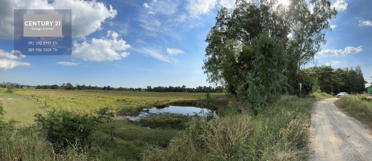 ขายที่ดิน อำเภอเมืองระยอง ตำบลตะพง ติดถนน 3142 จากถนนสุขุมวิท 1.3 กิโลเมตร