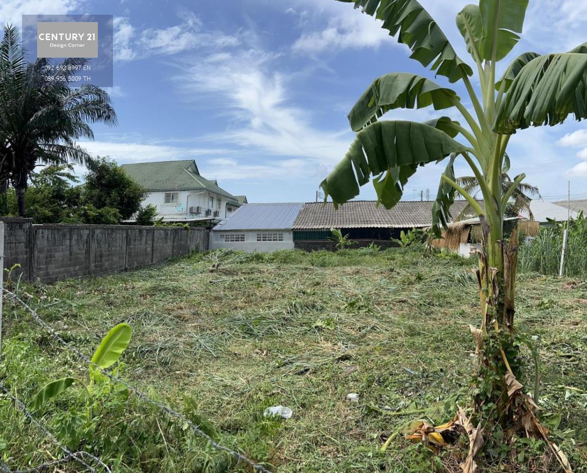 Land for sale in up and coming location, good price, 111 square wah or 444 square meters 3,500,000 sale price Transfer fees & taxes paid by the seller Land suitable to build a residential or commercial building Easy access to a main road Quiet & peaceful 