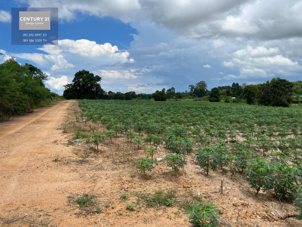 ขายที่ดินวิวภูเขา นาจอมเทียน สัตหีบ