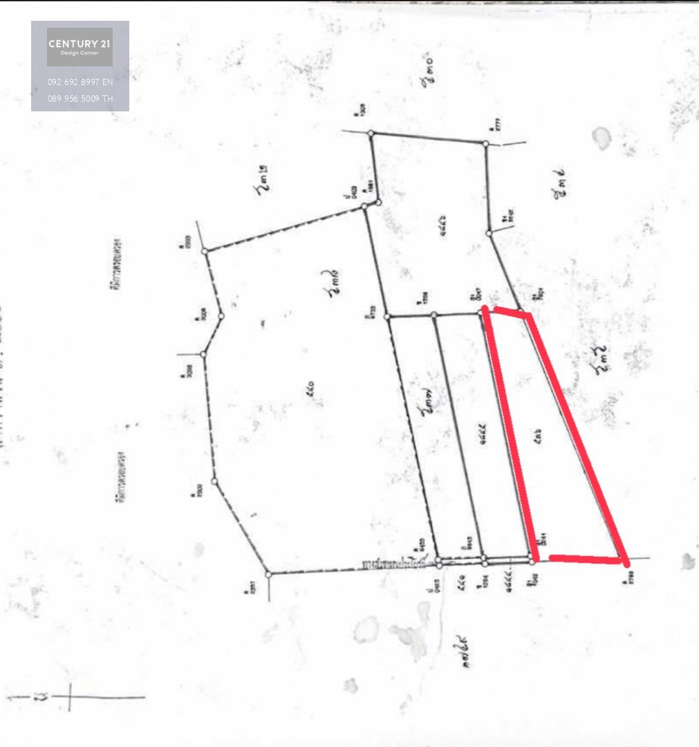 ขายที่ดินเปล่า ผังสีส้ม โซนซอยพรประภานิมิตร พัทยา