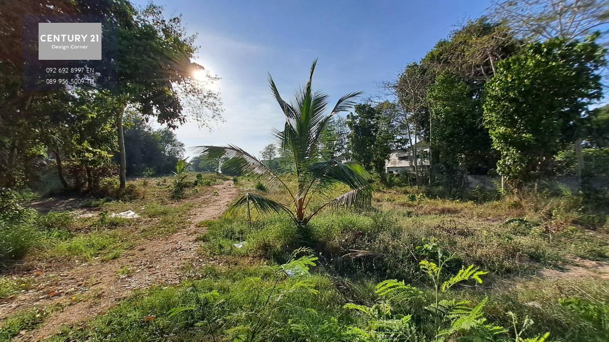 ขายที่ดินทำเลติดถนนสุขุมวิท พัทยา